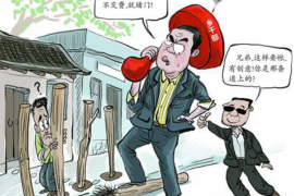 海口企业清欠服务